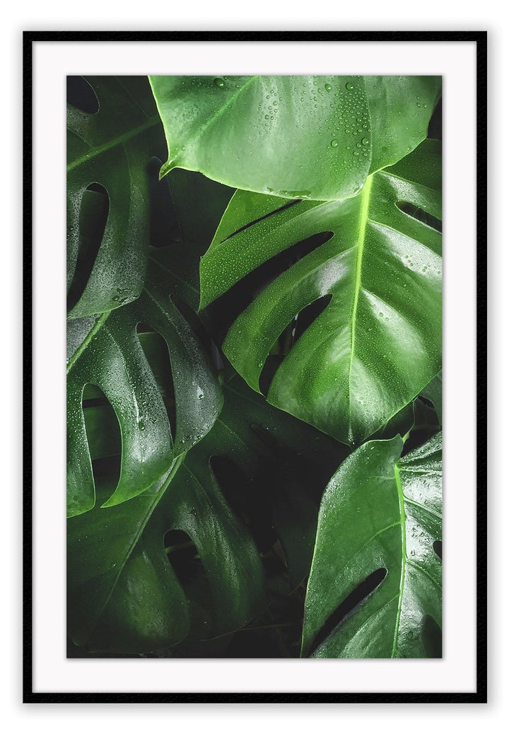 Canvas Print Small		50x70cm / Black verese Verese Wall Art : Ready to hang framed artwork. Brand