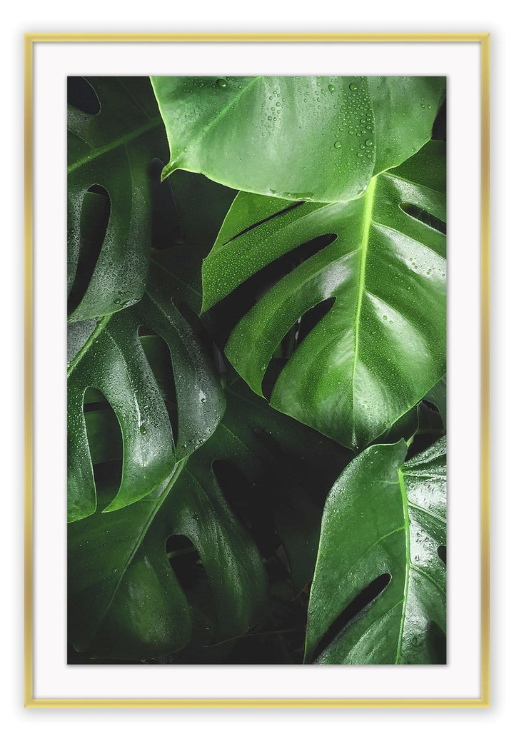 Canvas Print Small		50x70cm / Gold verese Verese Wall Art : Ready to hang framed artwork. Brand